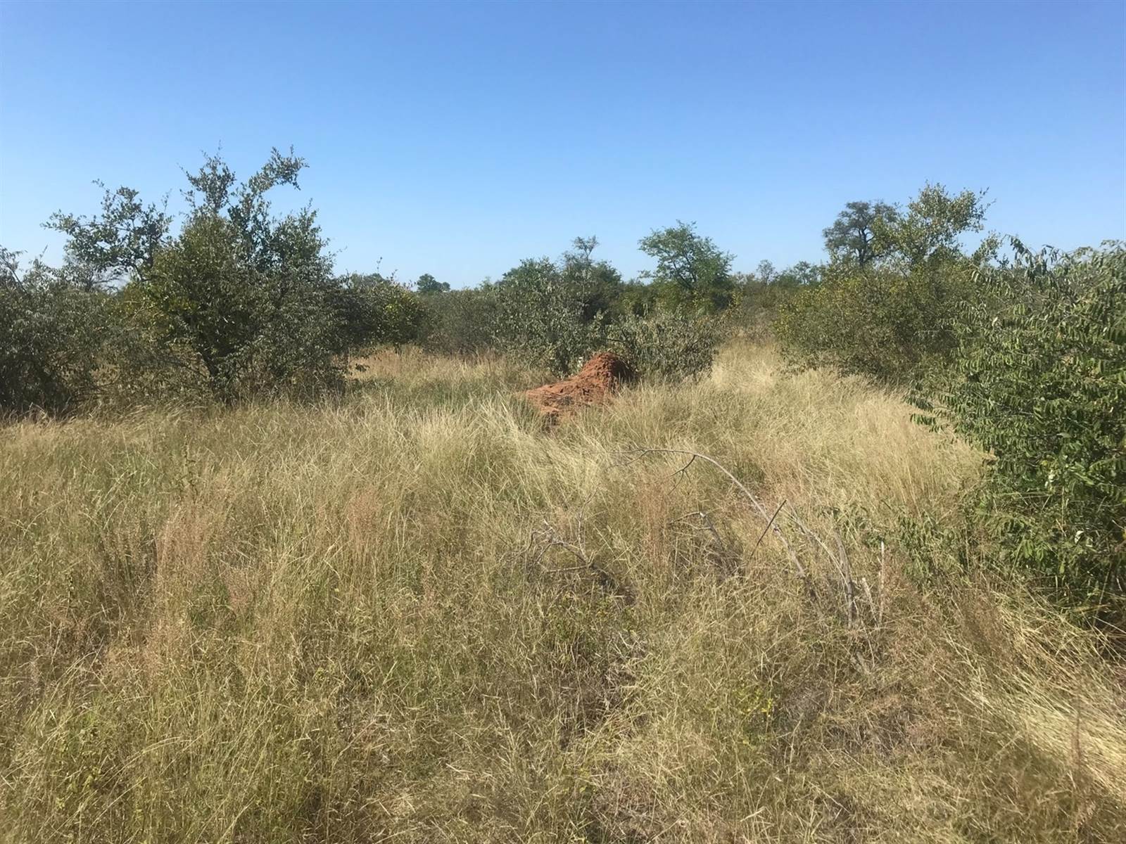 210 ha Land available in Hoedspruit photo number 7