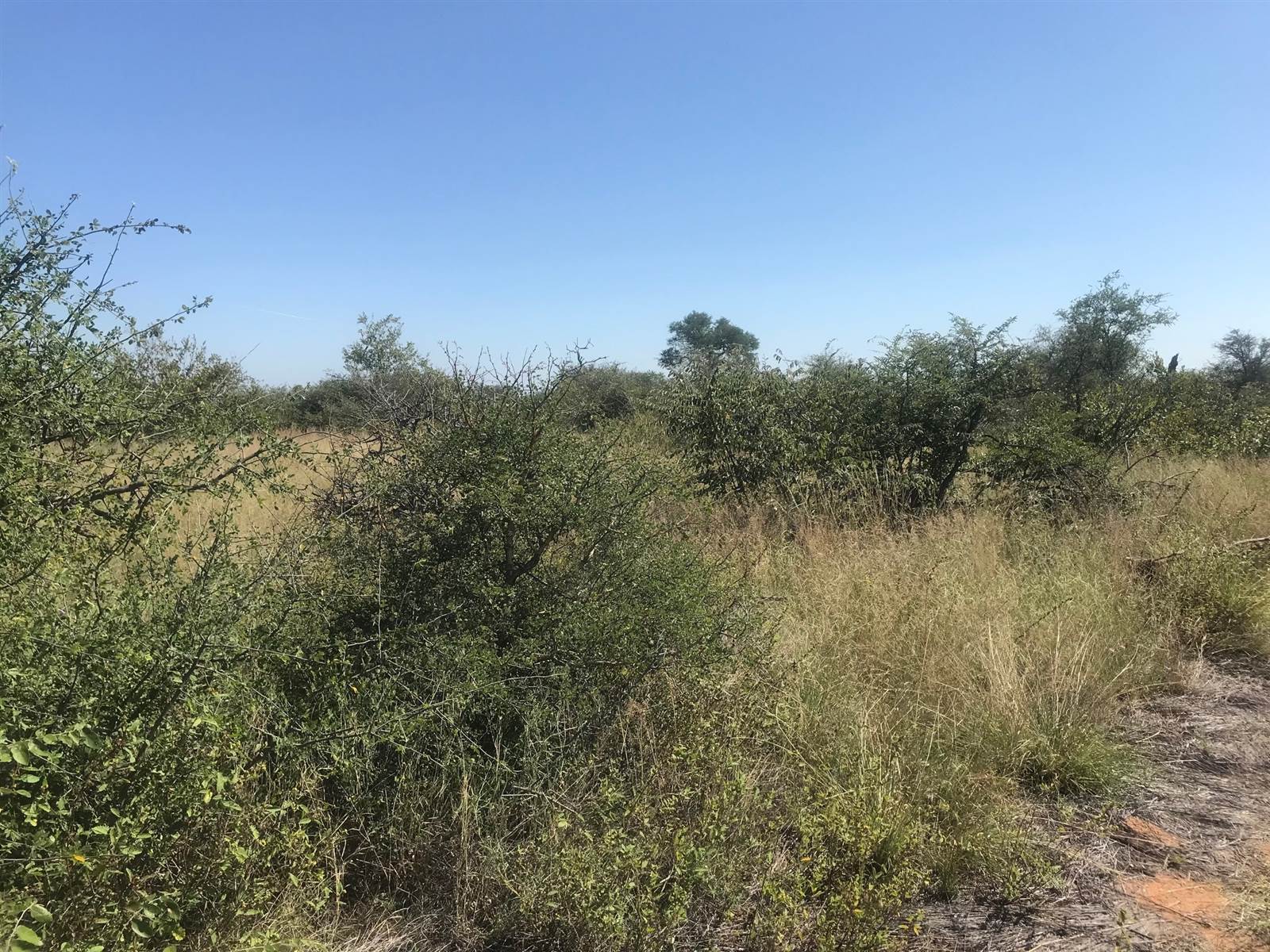 210 ha Land available in Hoedspruit photo number 11