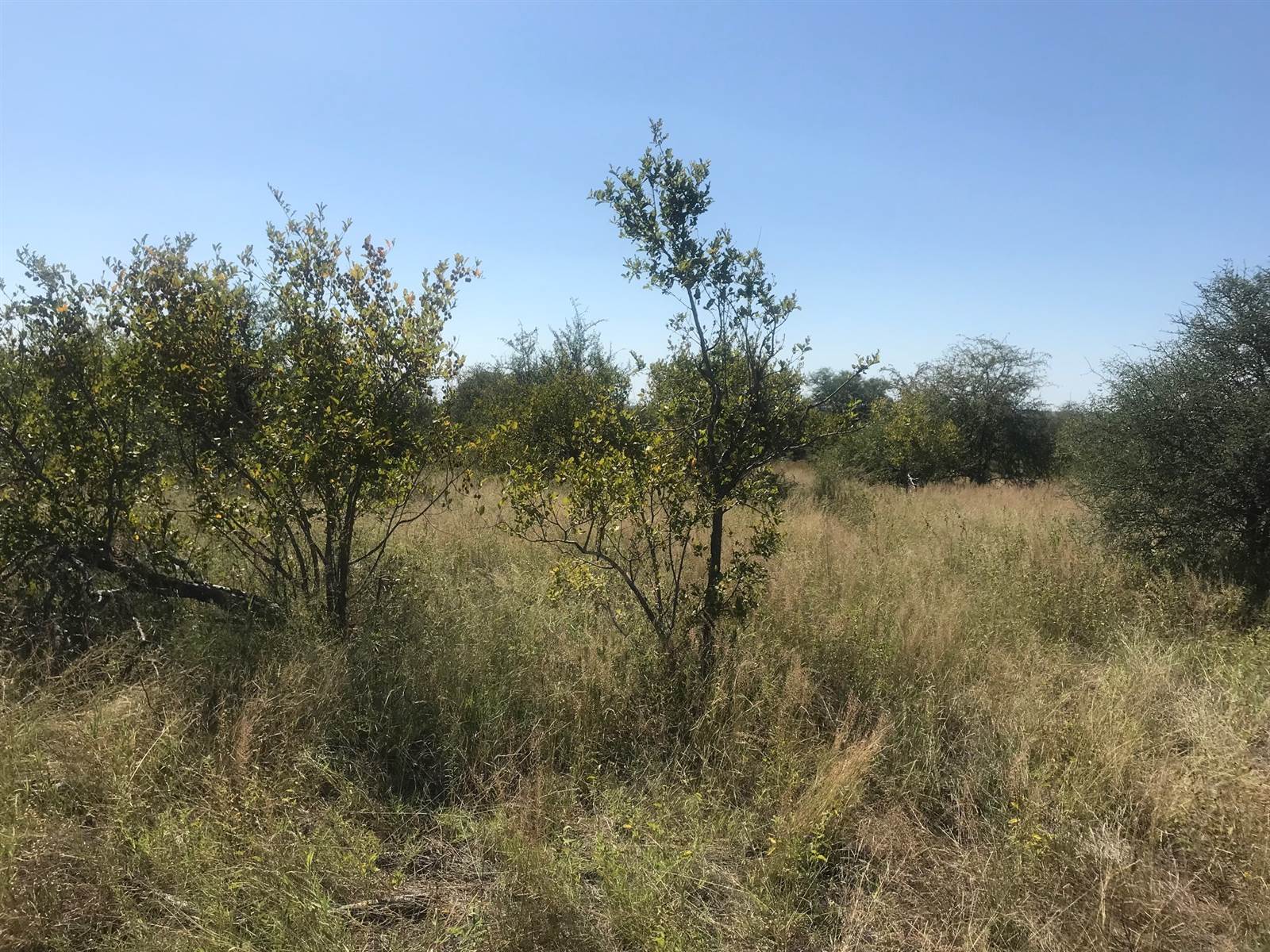 210 ha Land available in Hoedspruit photo number 12