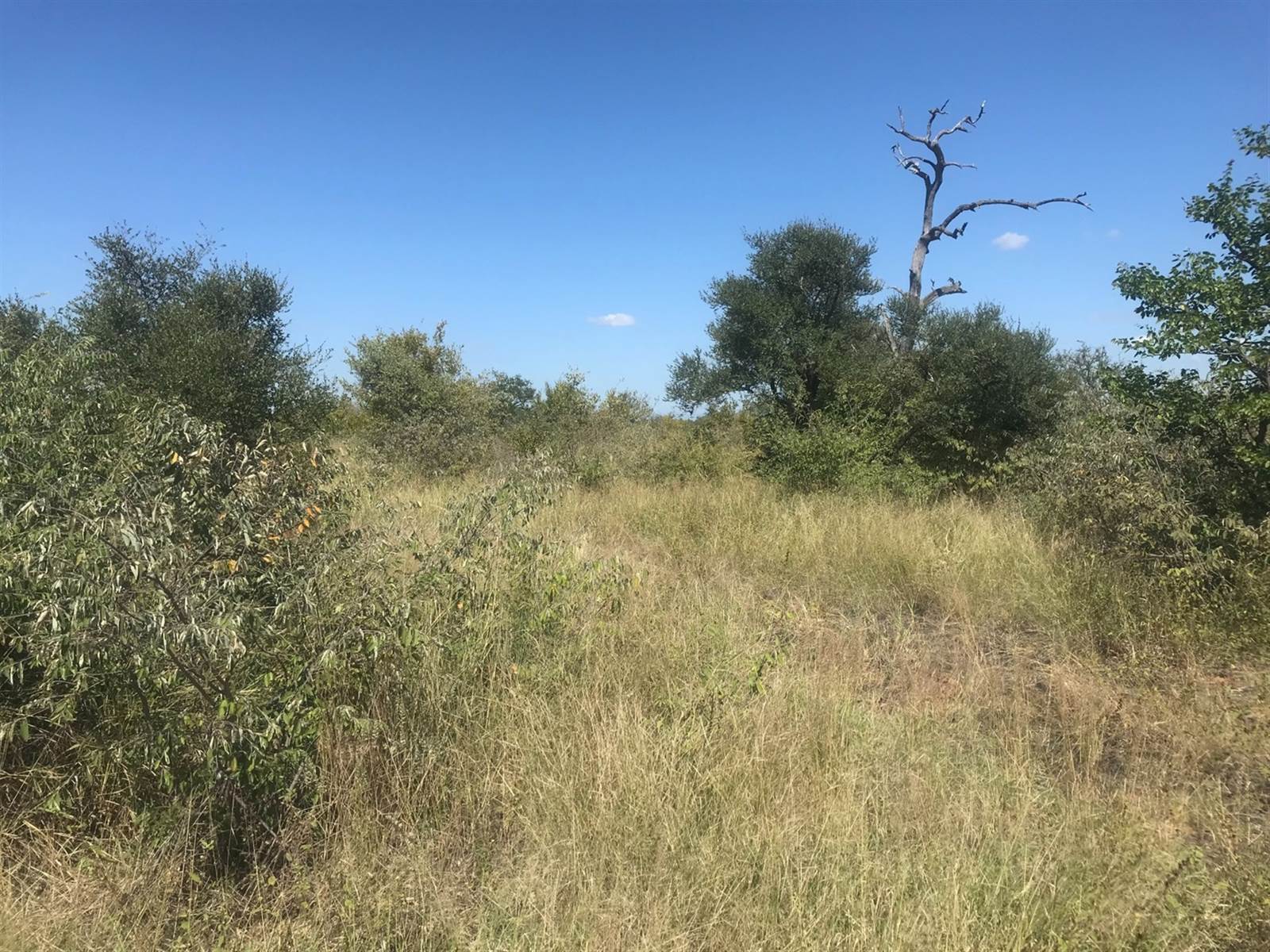 210 ha Land available in Hoedspruit photo number 8