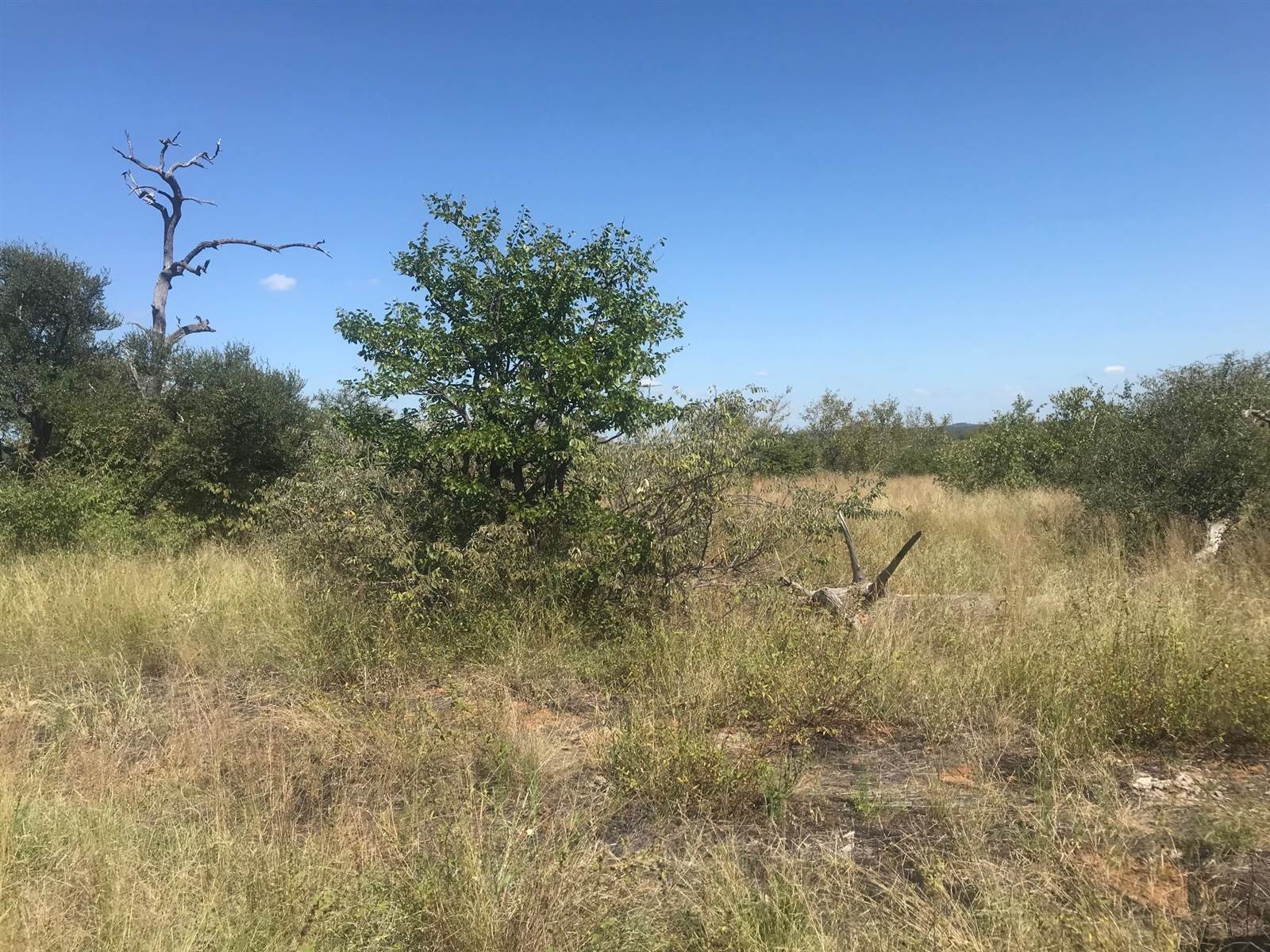 210 ha Land available in Hoedspruit photo number 9