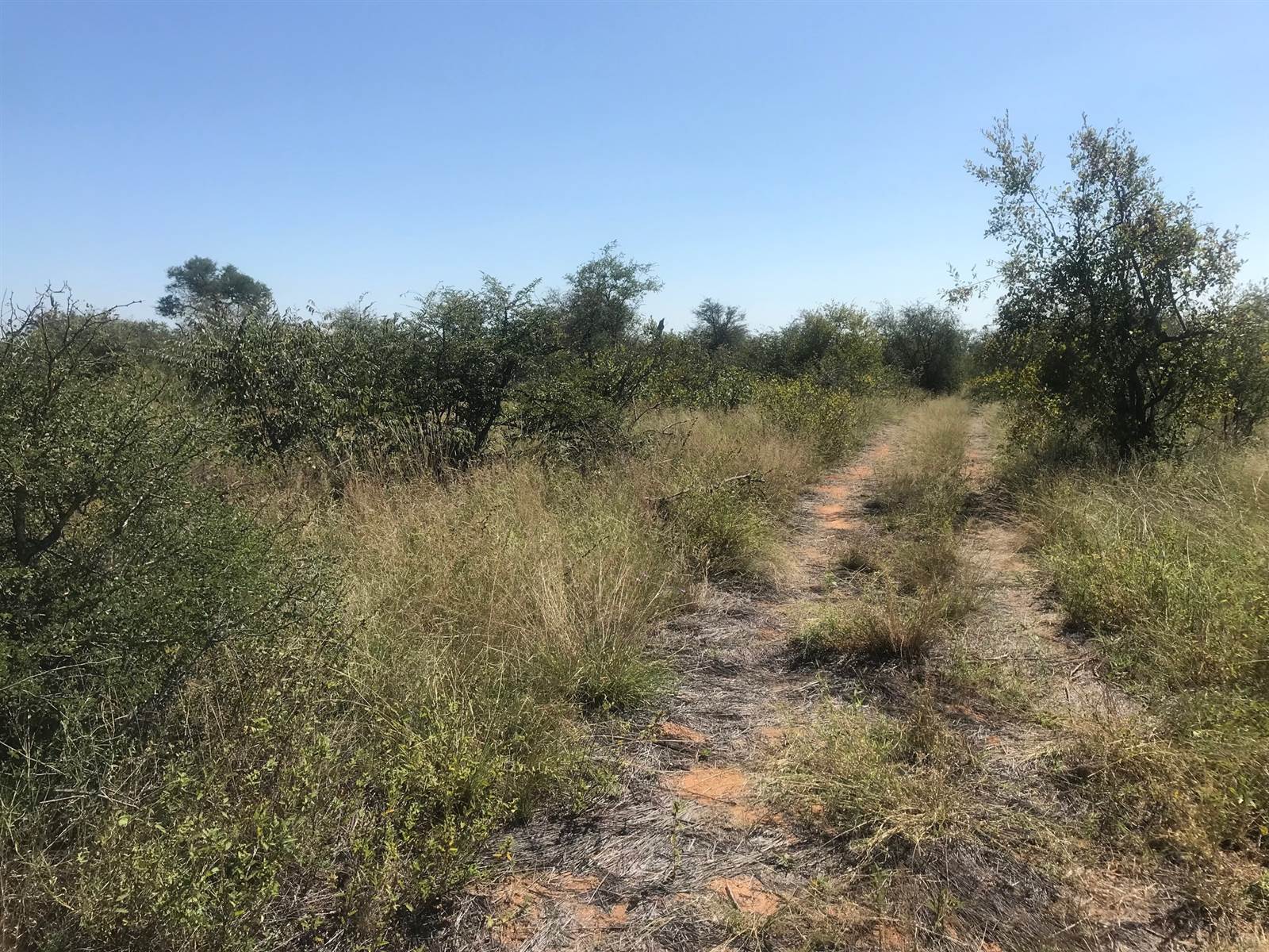 210 ha Land available in Hoedspruit photo number 10