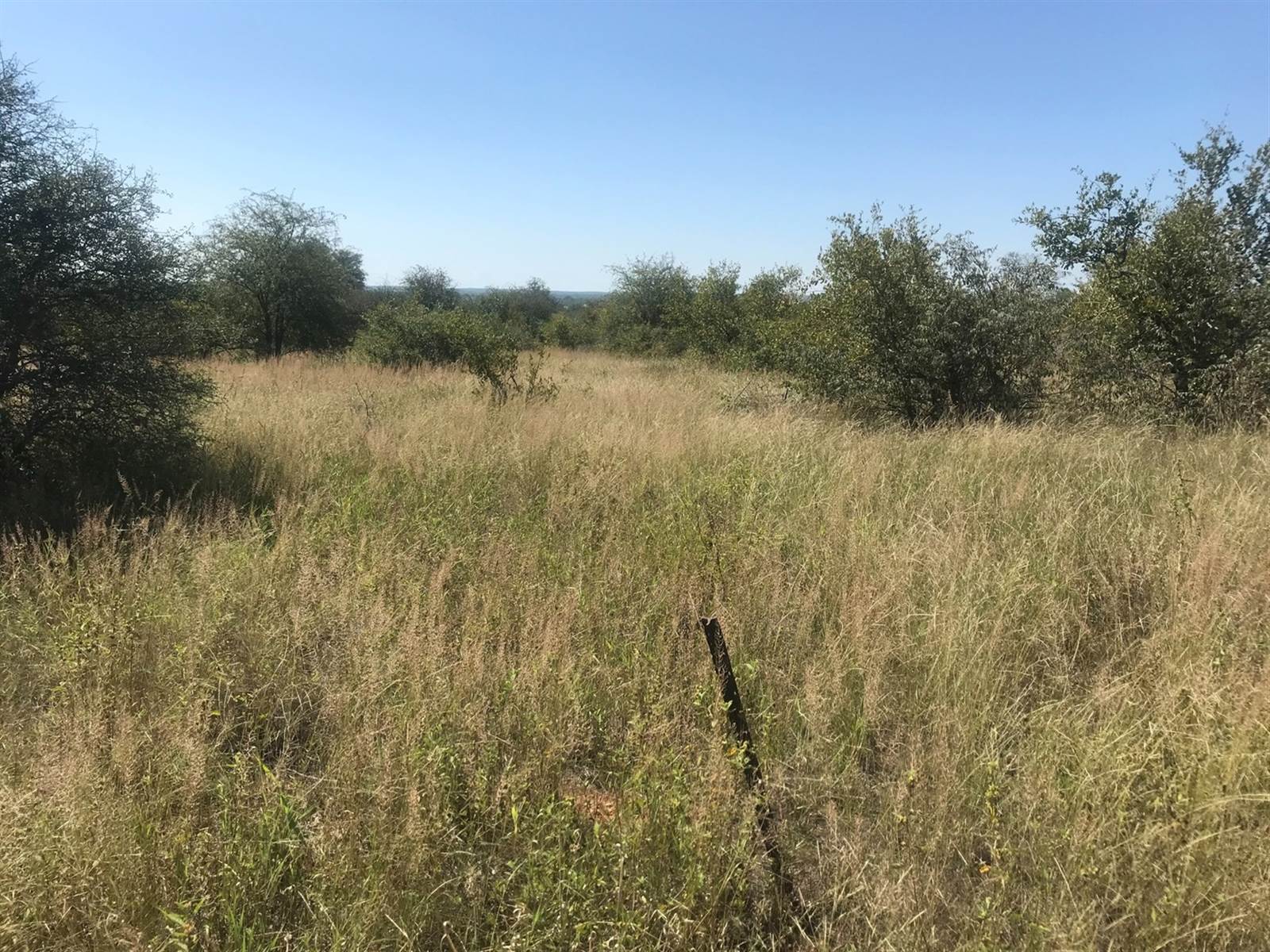 210 ha Land available in Hoedspruit photo number 6