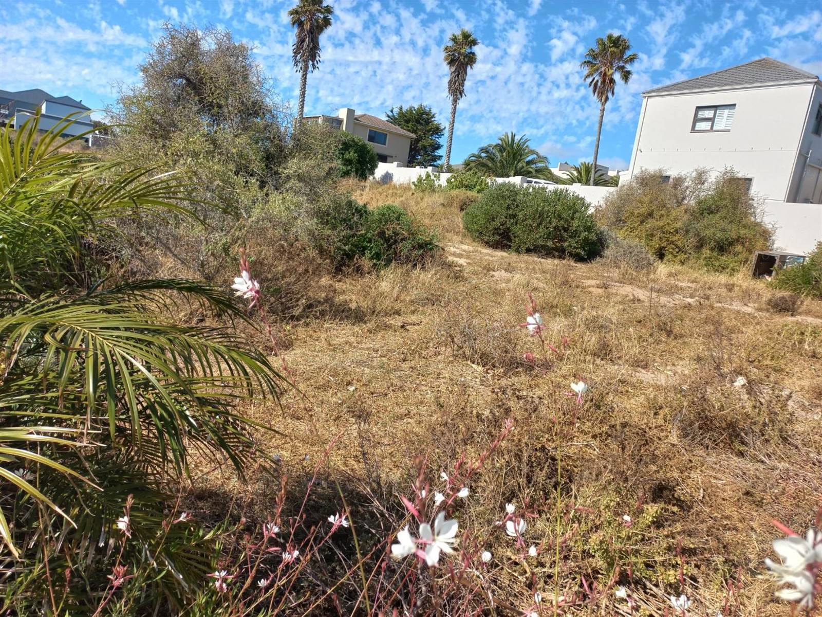 713 m² Land available in Myburgh Park photo number 10