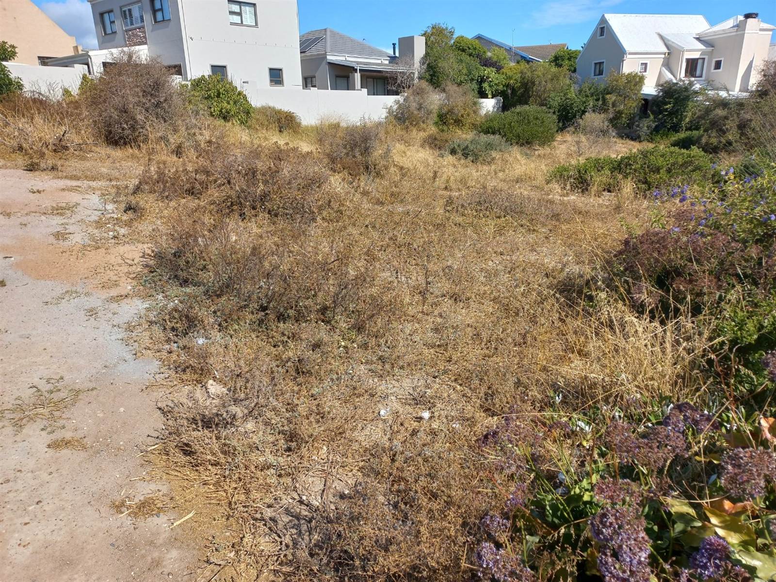 713 m² Land available in Myburgh Park photo number 9