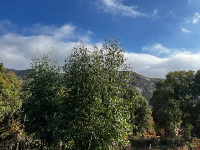 1175 m² Land available in Clarens photo number 13