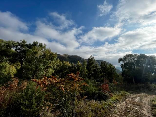 1175 m² Land available in Clarens photo number 7