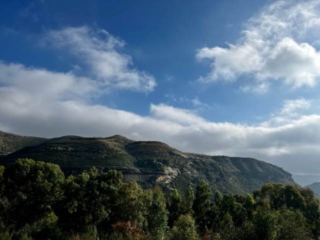 1175 m² Land available in Clarens photo number 3