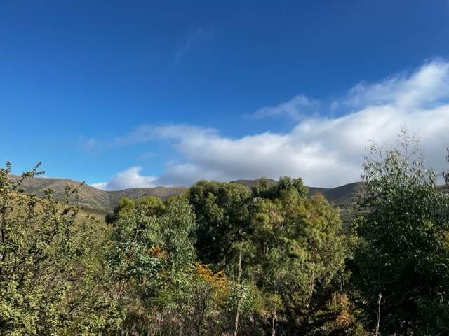 1175 m² Land available in Clarens photo number 12
