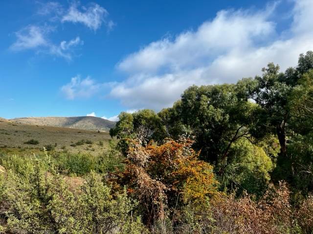 1175 m² Land available in Clarens photo number 6