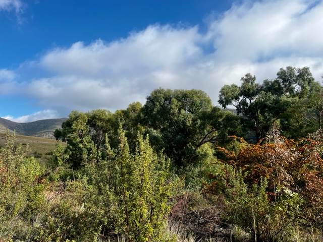 1175 m² Land available in Clarens photo number 5