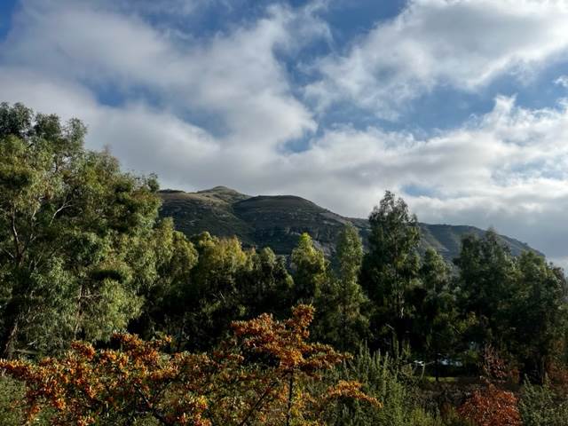 1175 m² Land available in Clarens photo number 8