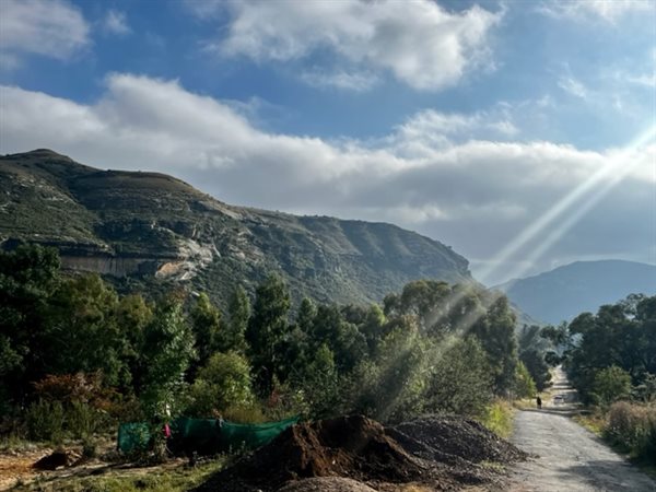 1175 m² Land available in Clarens