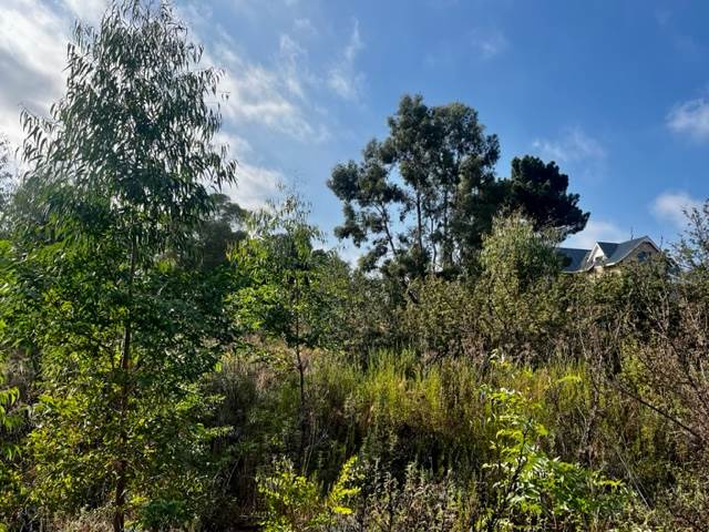 1175 m² Land available in Clarens photo number 10