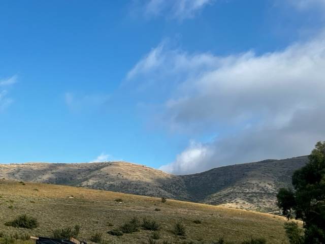 1175 m² Land available in Clarens photo number 2