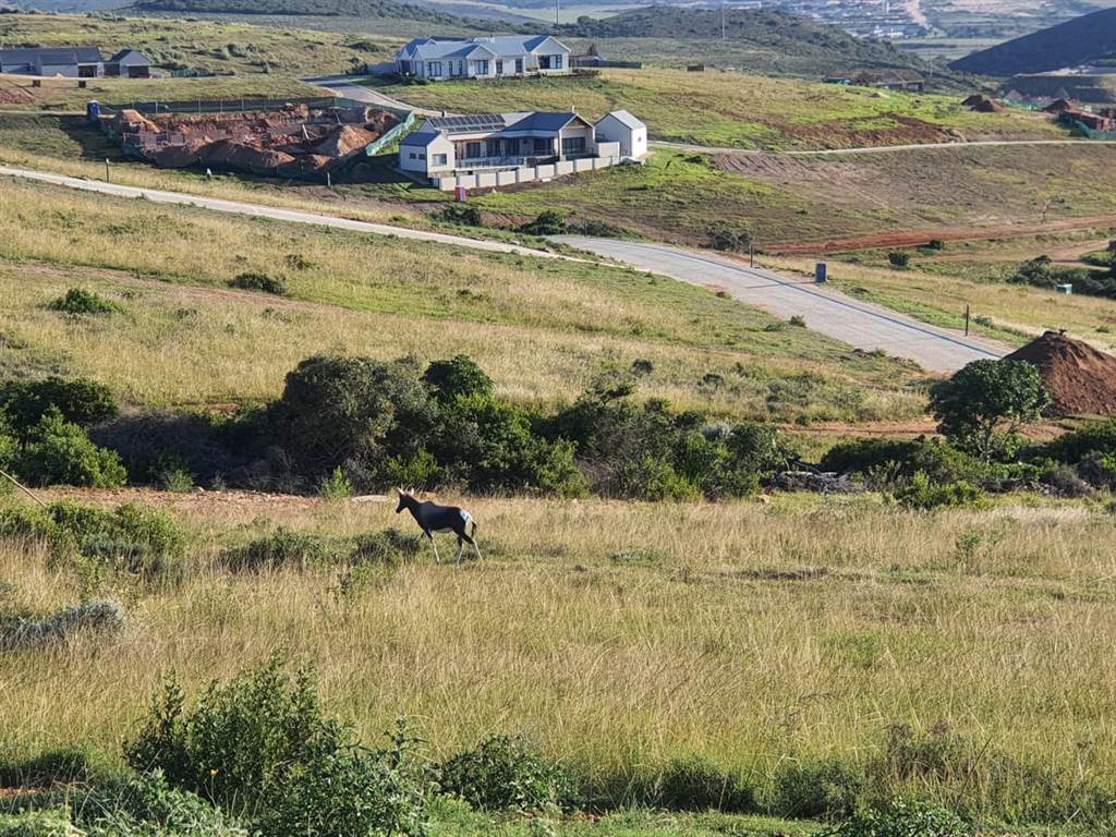1570 m² Land available in Hartenbos photo number 1