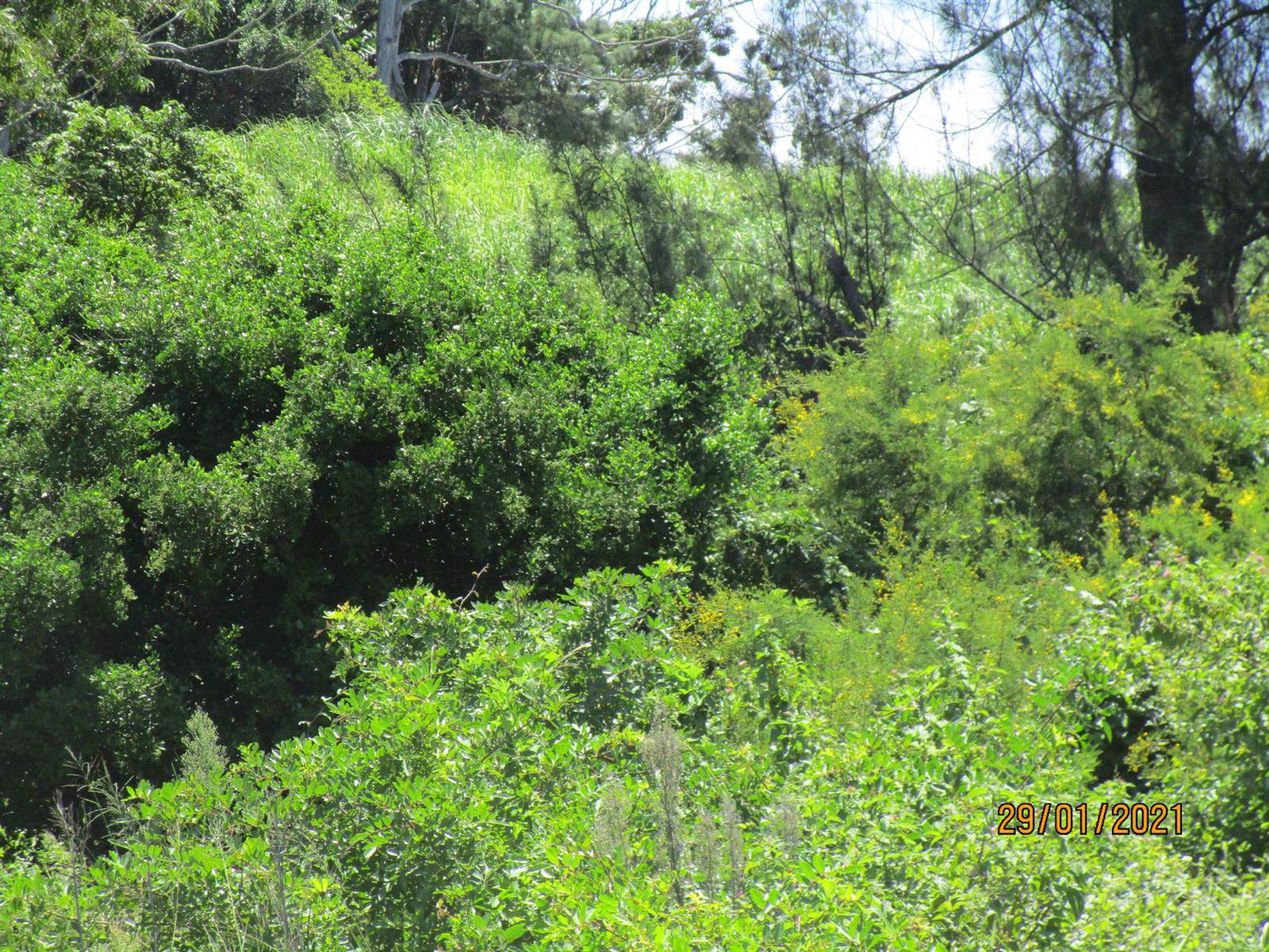 2618 m² Land available in Sezela photo number 6