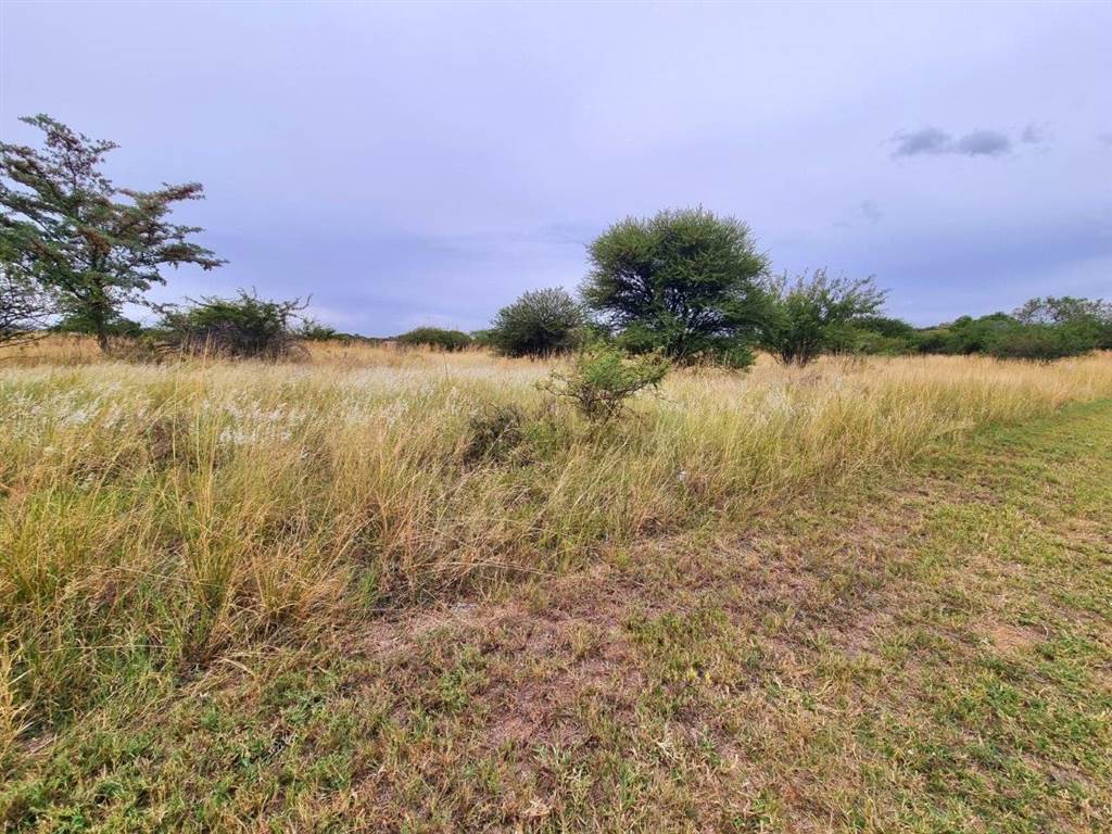 1053 m² Land available in Euphoria Golf Estate photo number 2