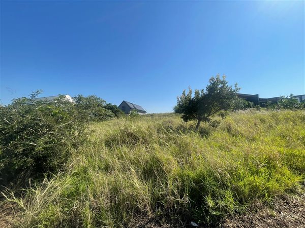 1589 m² Land available in Sheffield Beach