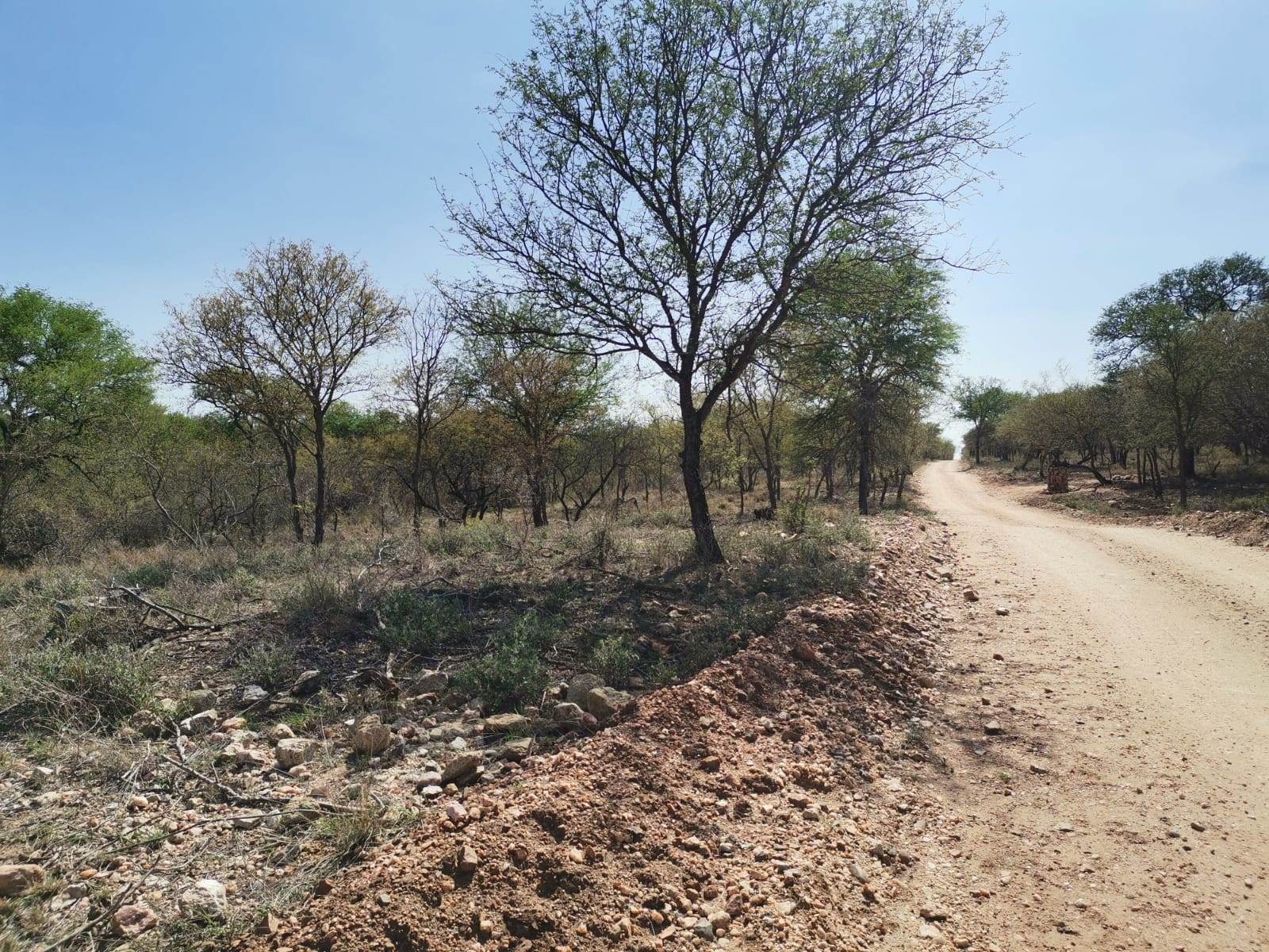 21.4 ha Land available in Ndlovumzi photo number 12
