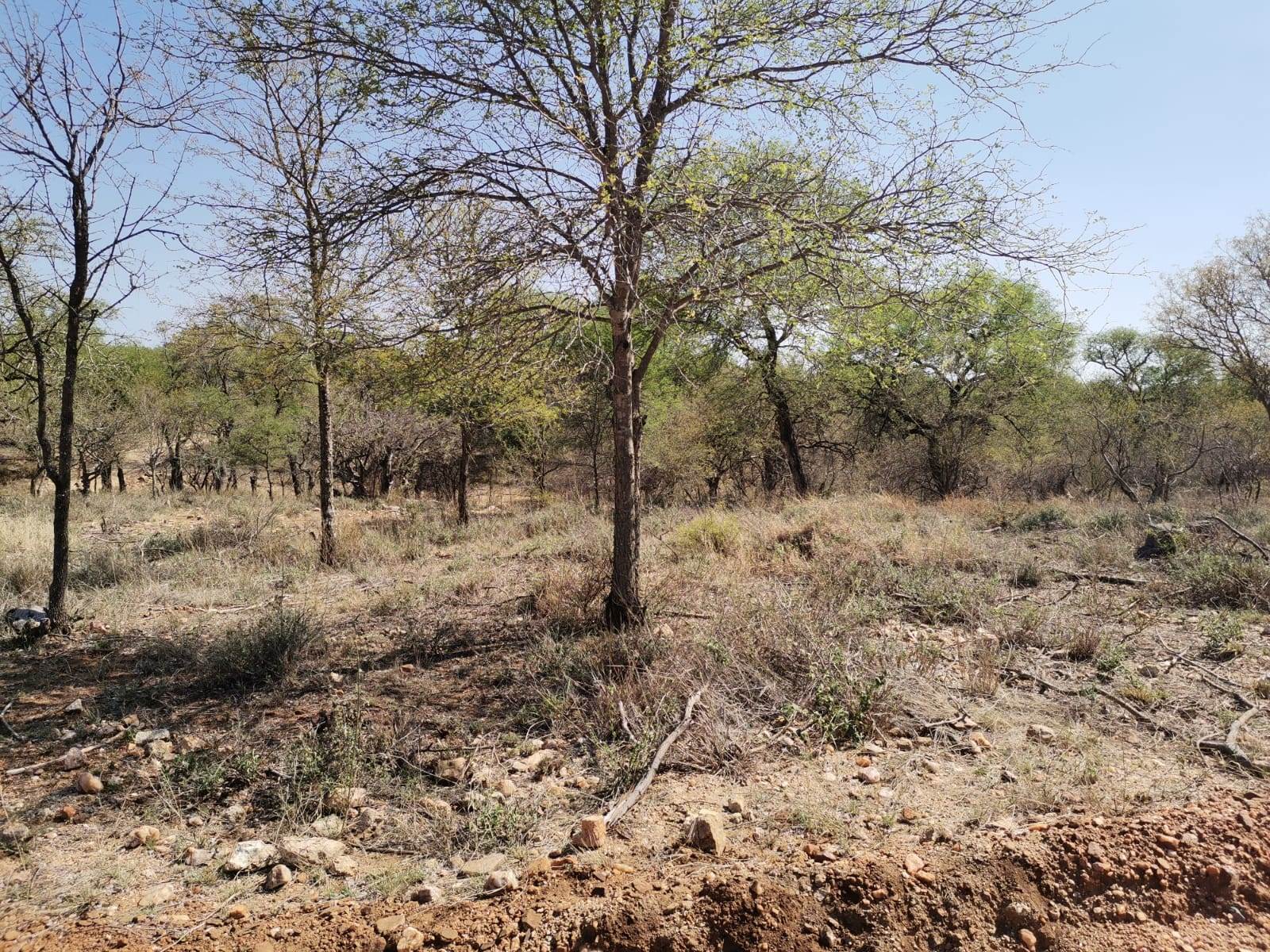 21.4 ha Land available in Ndlovumzi photo number 6