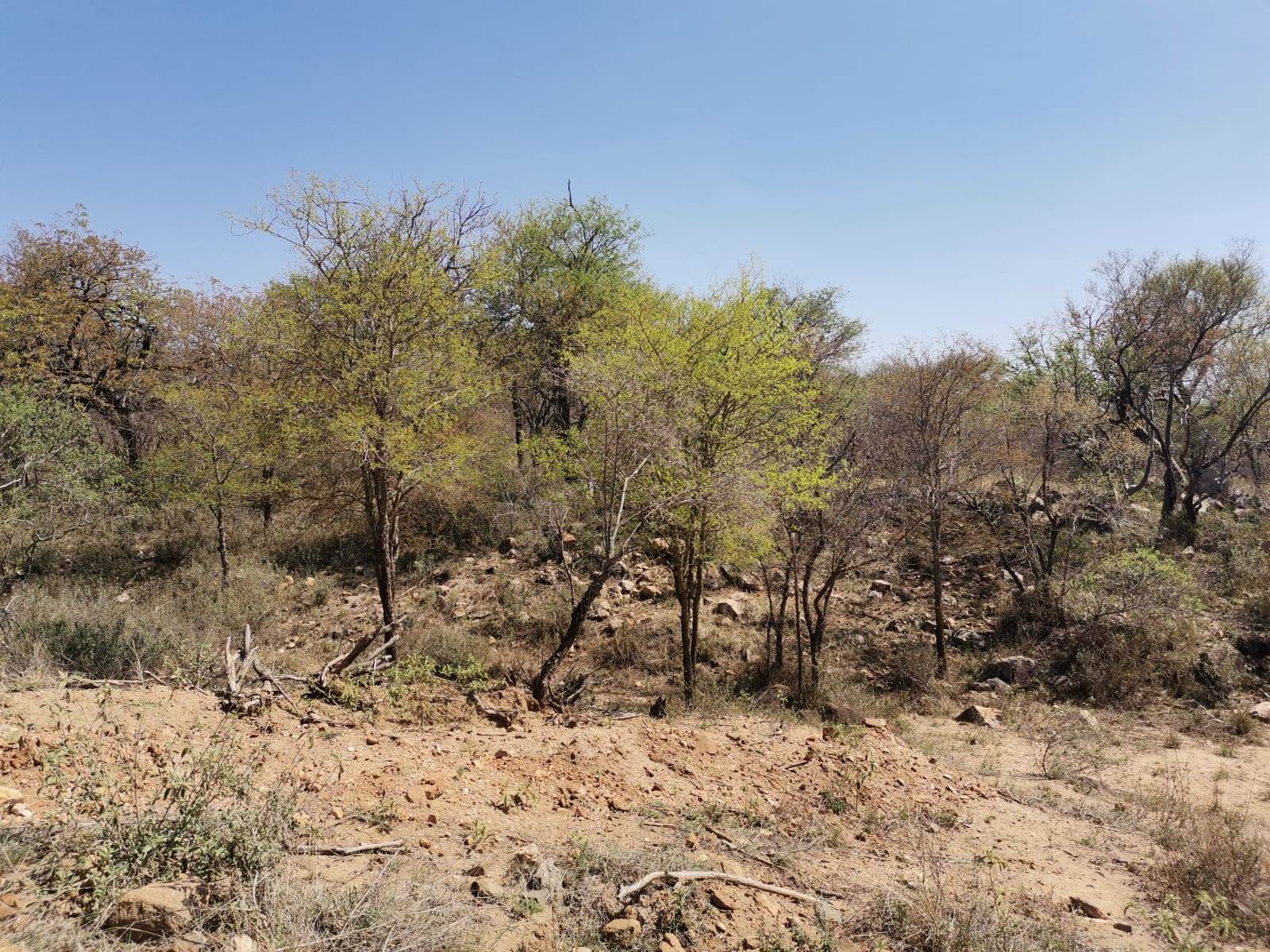 21.4 ha Land available in Ndlovumzi photo number 5