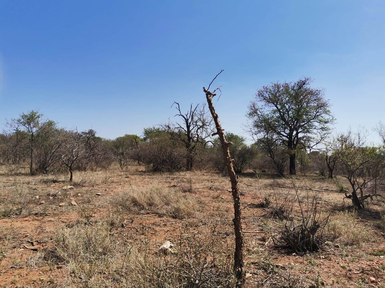 21.4 ha Land available in Ndlovumzi photo number 11