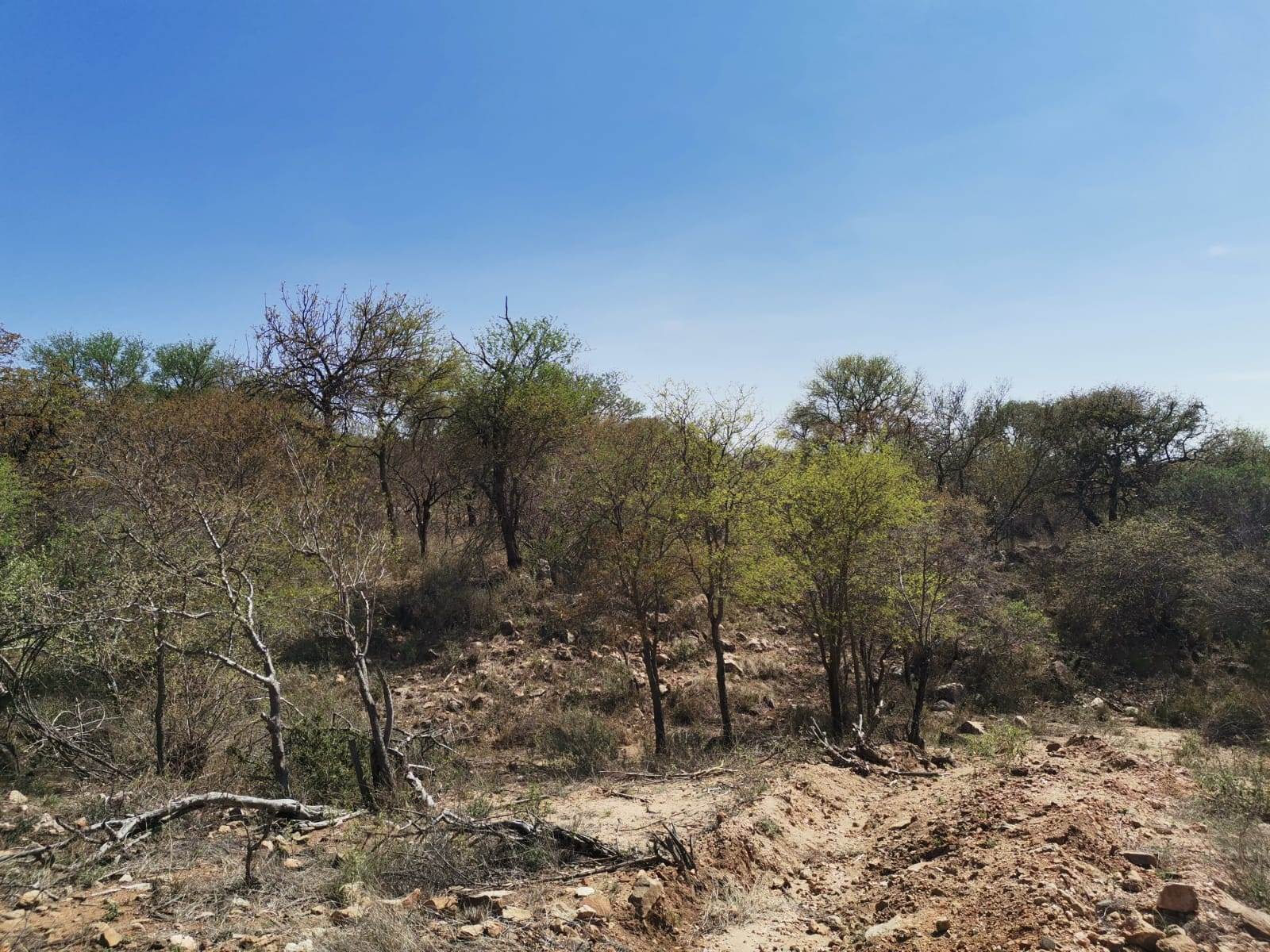 21.4 ha Land available in Ndlovumzi photo number 4