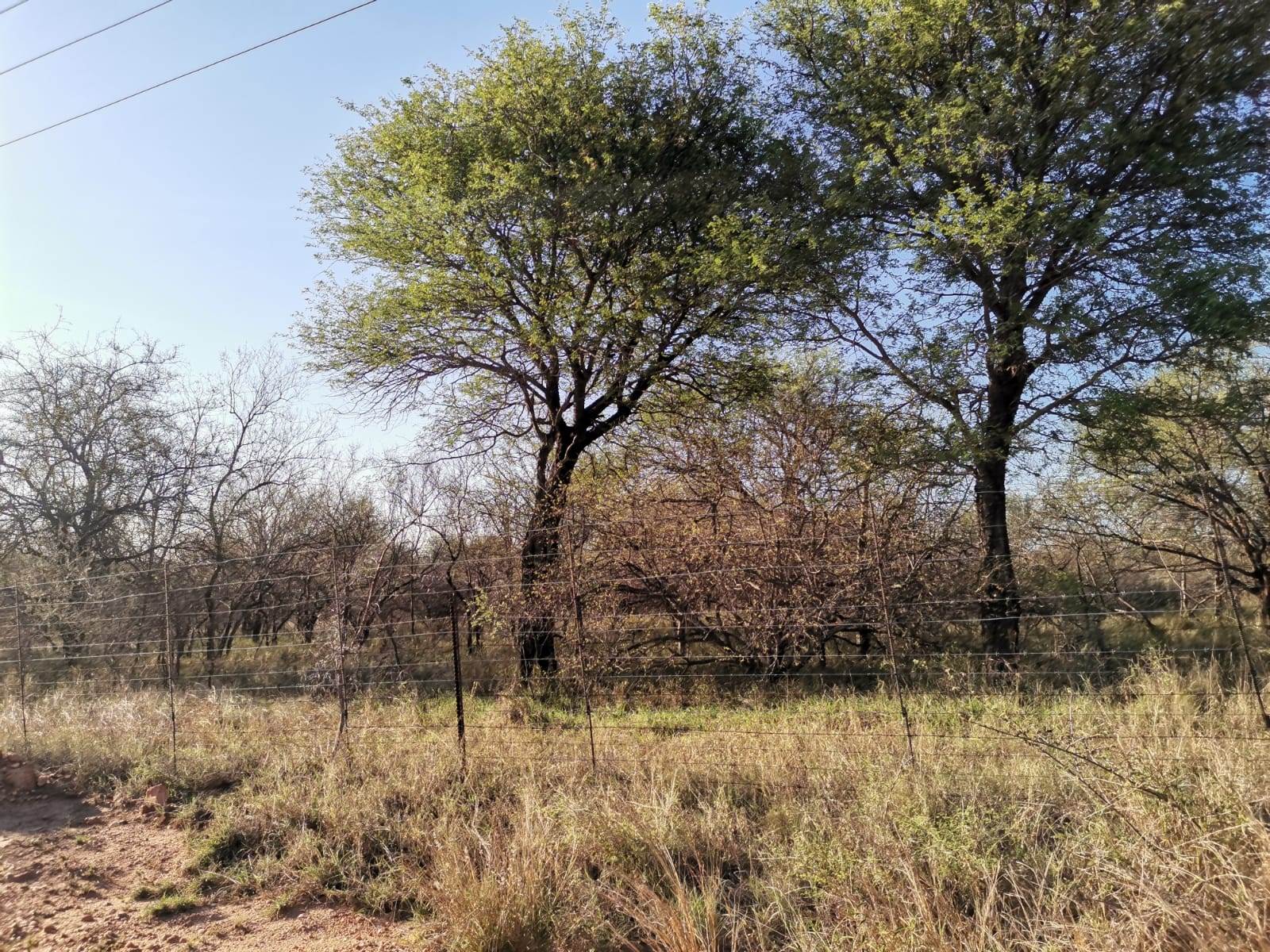 21.4 ha Land available in Ndlovumzi photo number 15
