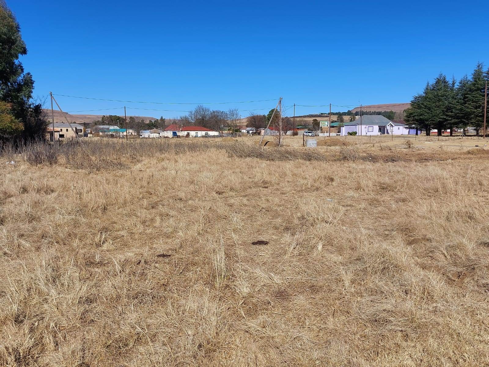 943 m² Land available in Memel photo number 4