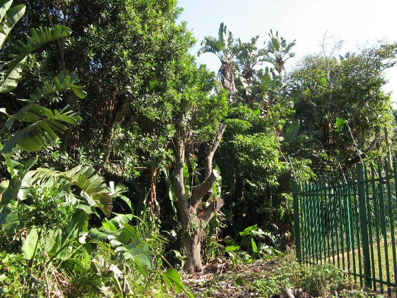 2129 m² Land available in Southbroom photo number 10