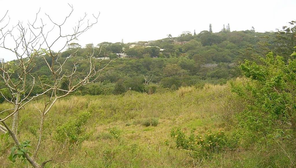 577 m² Land available in Sea Park photo number 3