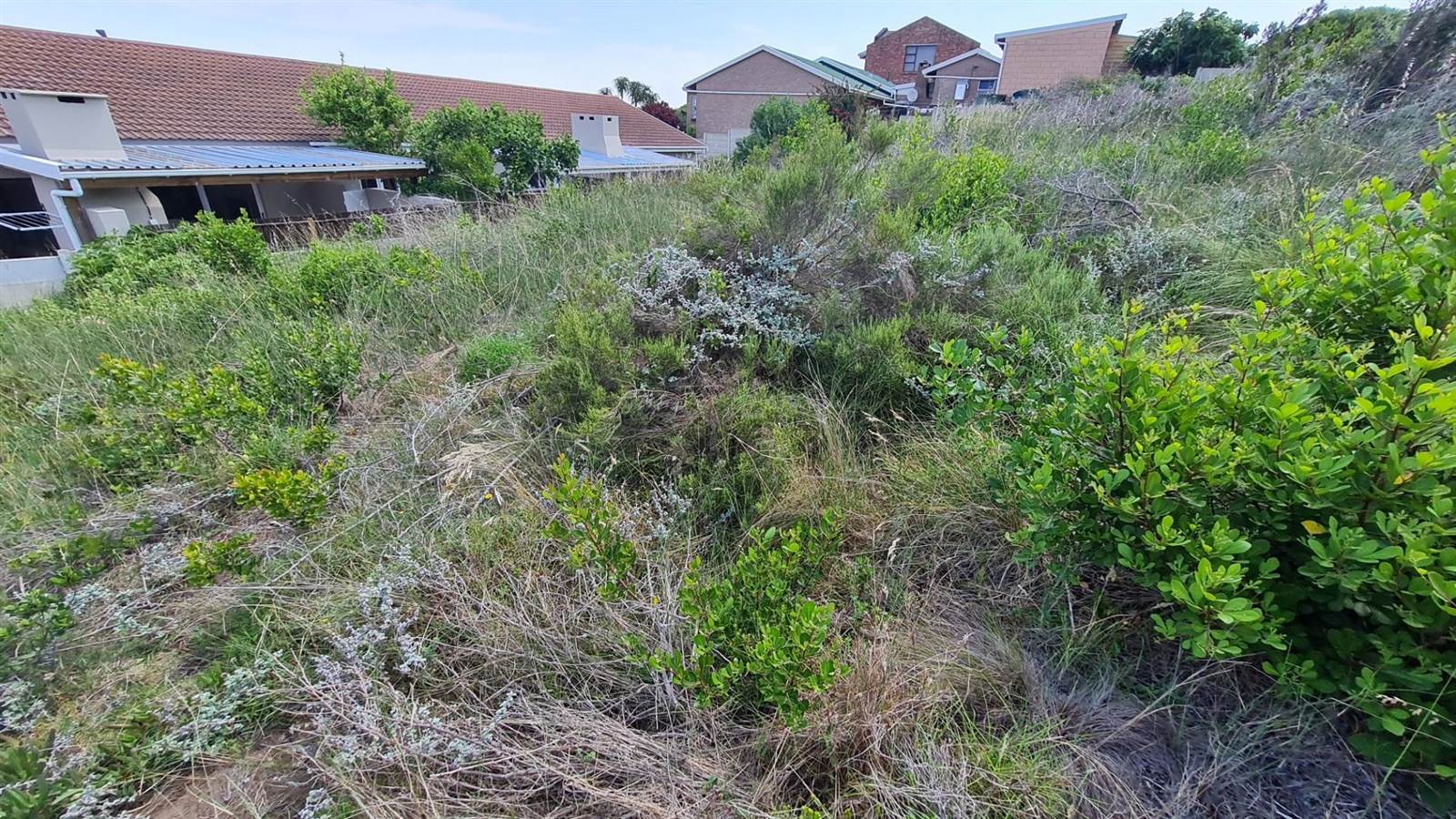 896 m² Land available in Dana Bay photo number 2