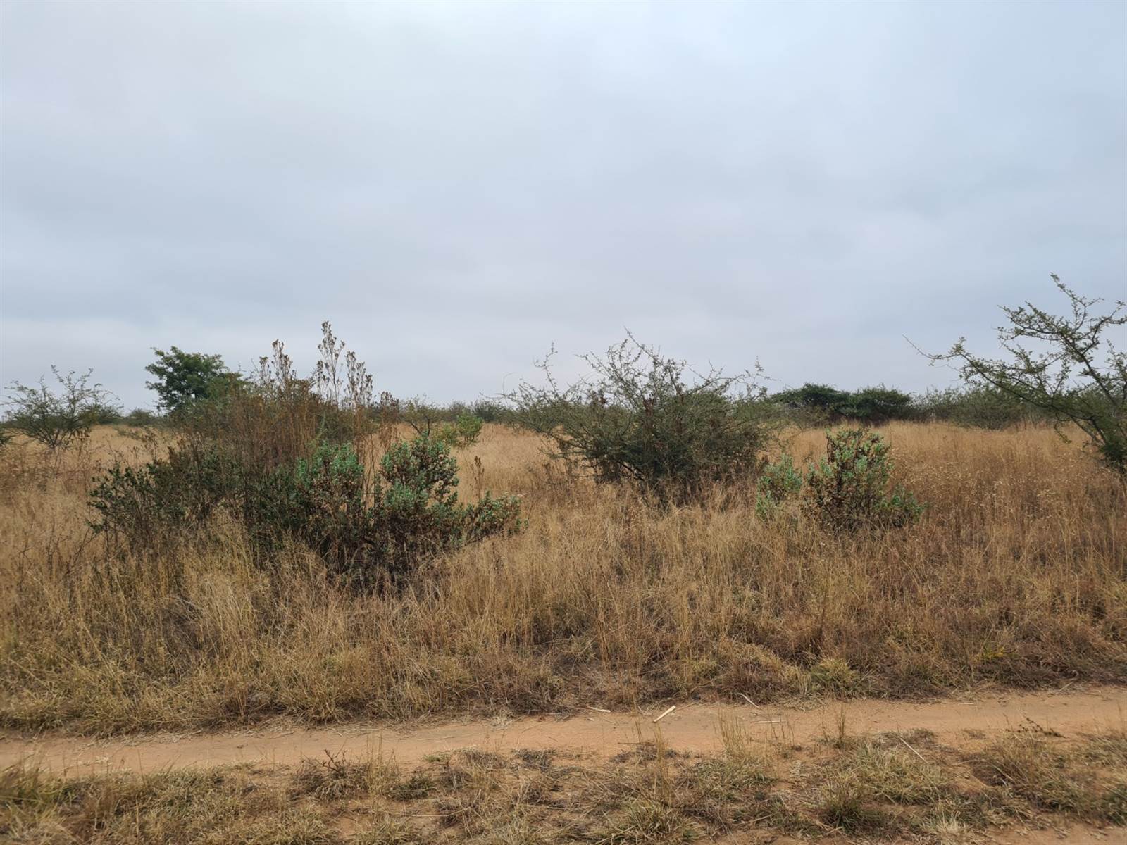 9 ha Land available in Polokwane Central photo number 4