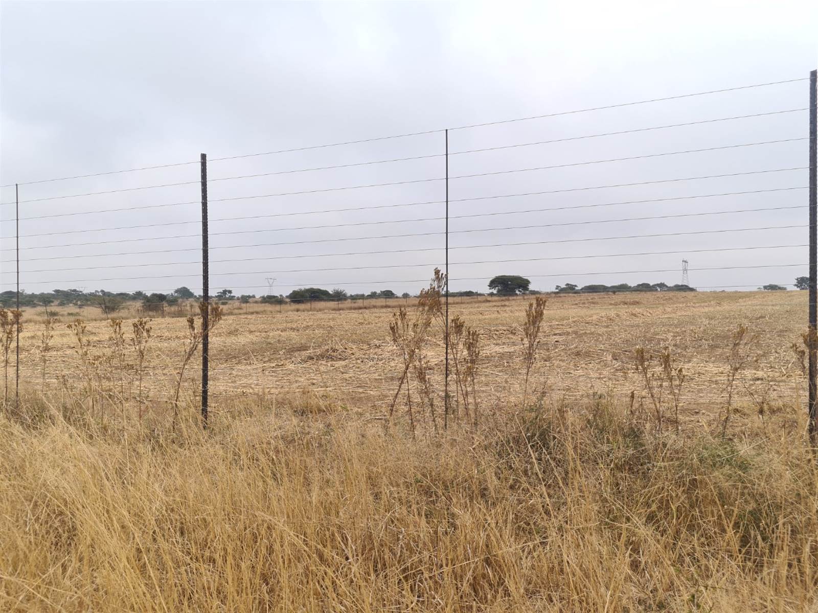 9 ha Land available in Polokwane Central photo number 6