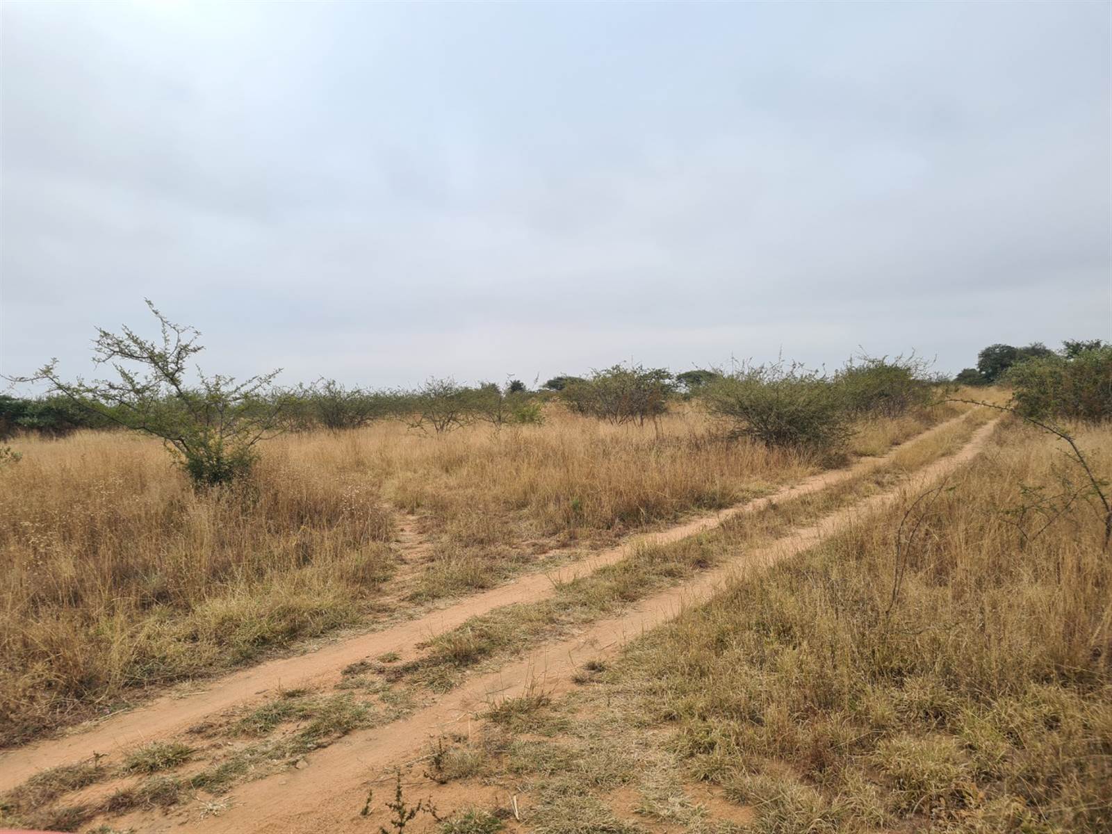9 ha Land available in Polokwane Central photo number 7