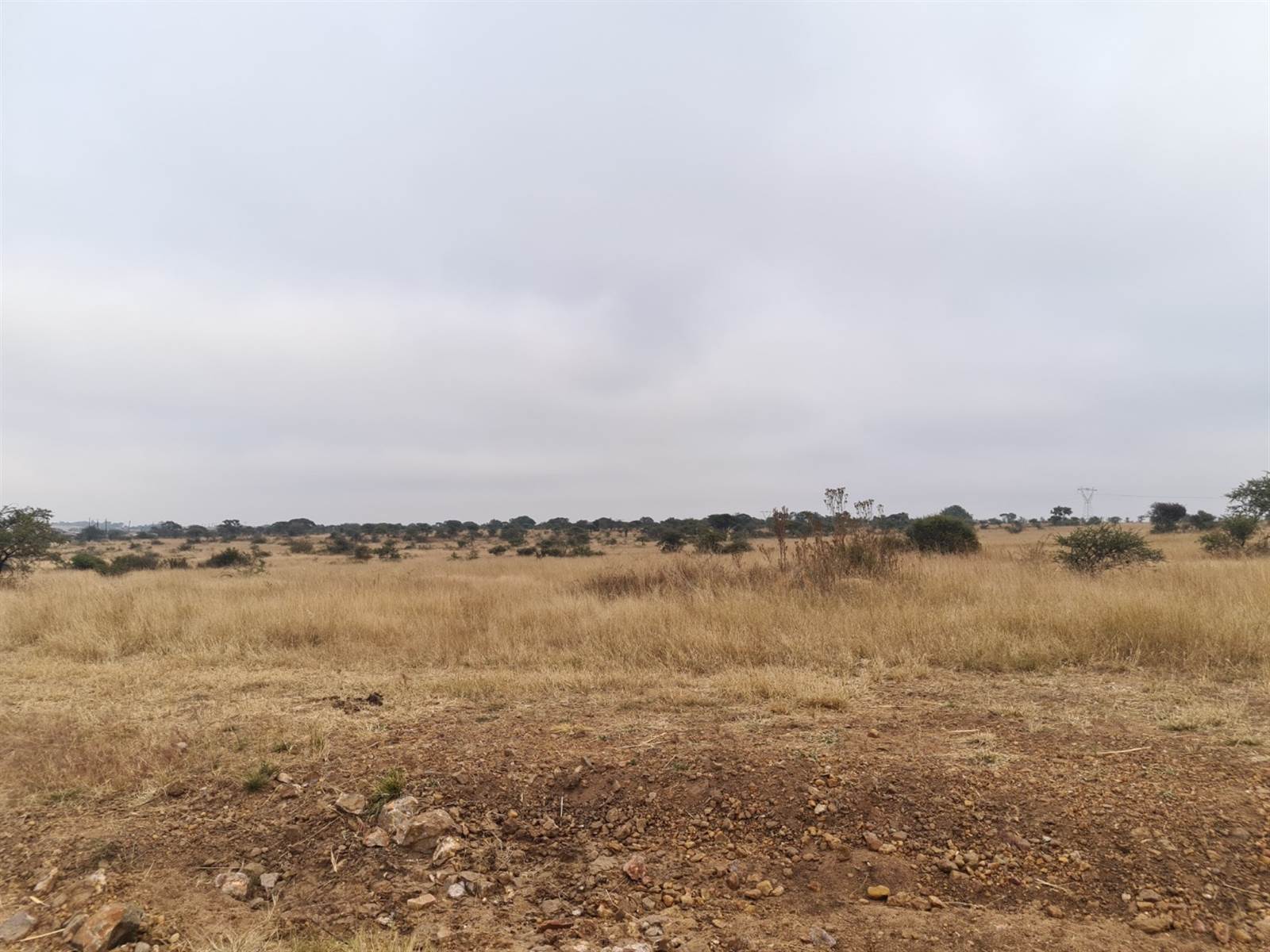 9 ha Land available in Polokwane Central photo number 1