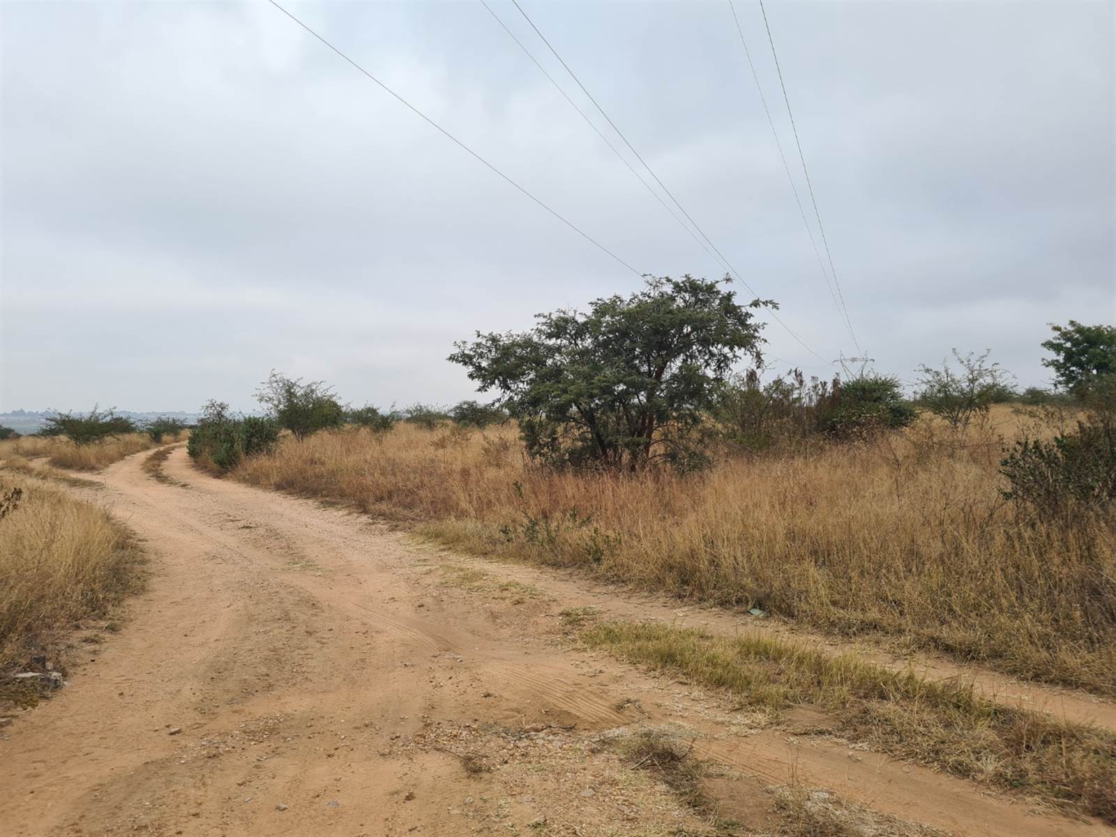 9 ha Land available in Polokwane Central photo number 3