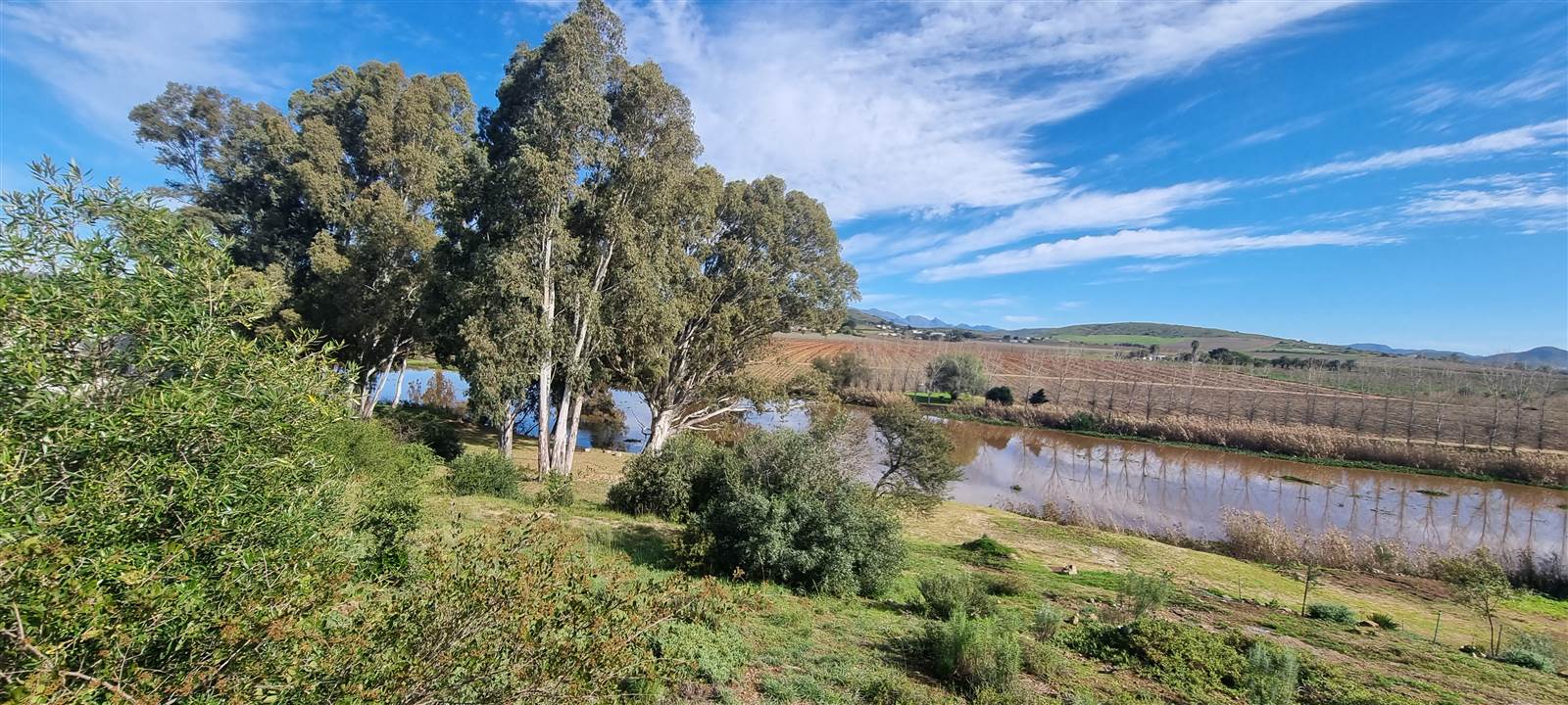 685 m² Land available in Bonnievale photo number 6