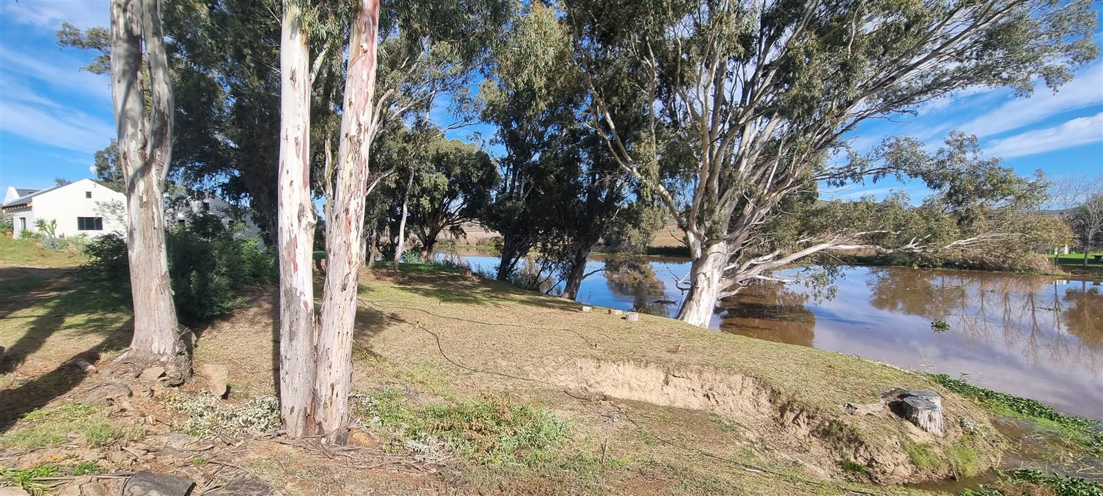 685 m² Land available in Bonnievale photo number 8