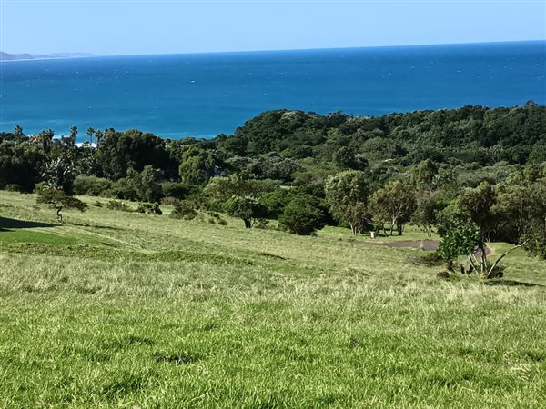 733 m² Land available in Cintsa