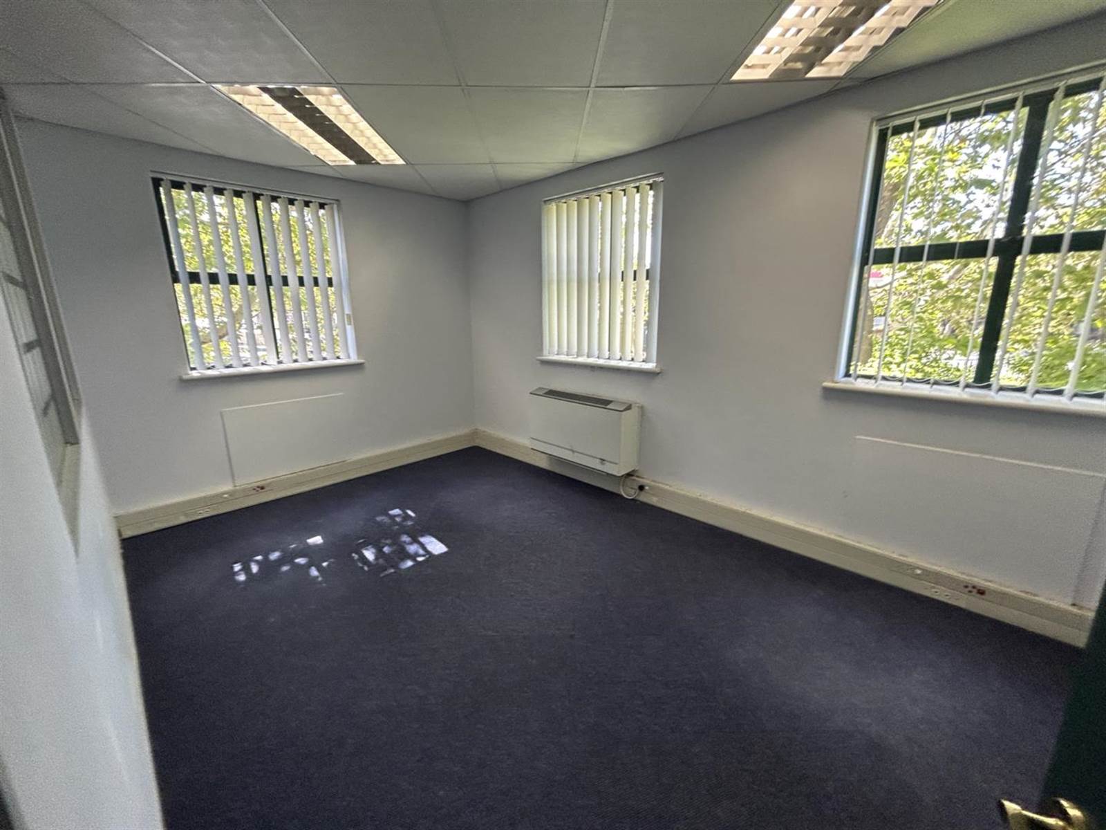 310  m² Office Space in Kenilworth photo number 6