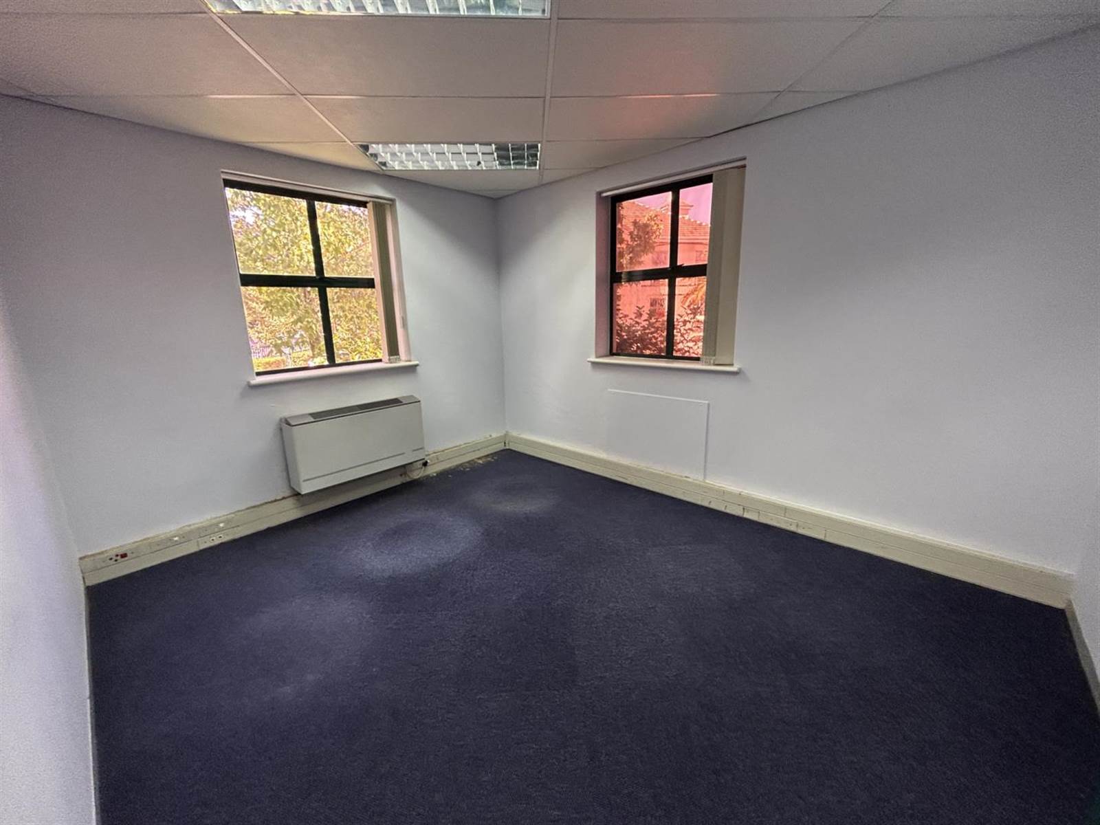 310  m² Office Space in Kenilworth photo number 16