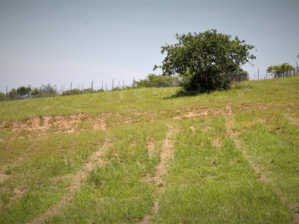 2665 m² Land available in Sonheuwel