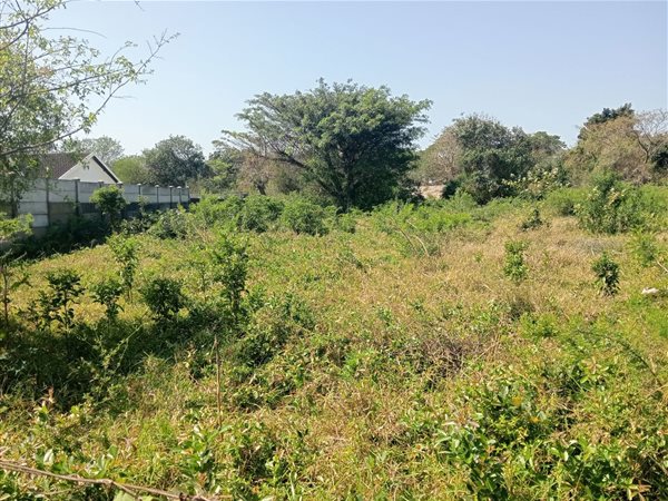 1 074 m² Land