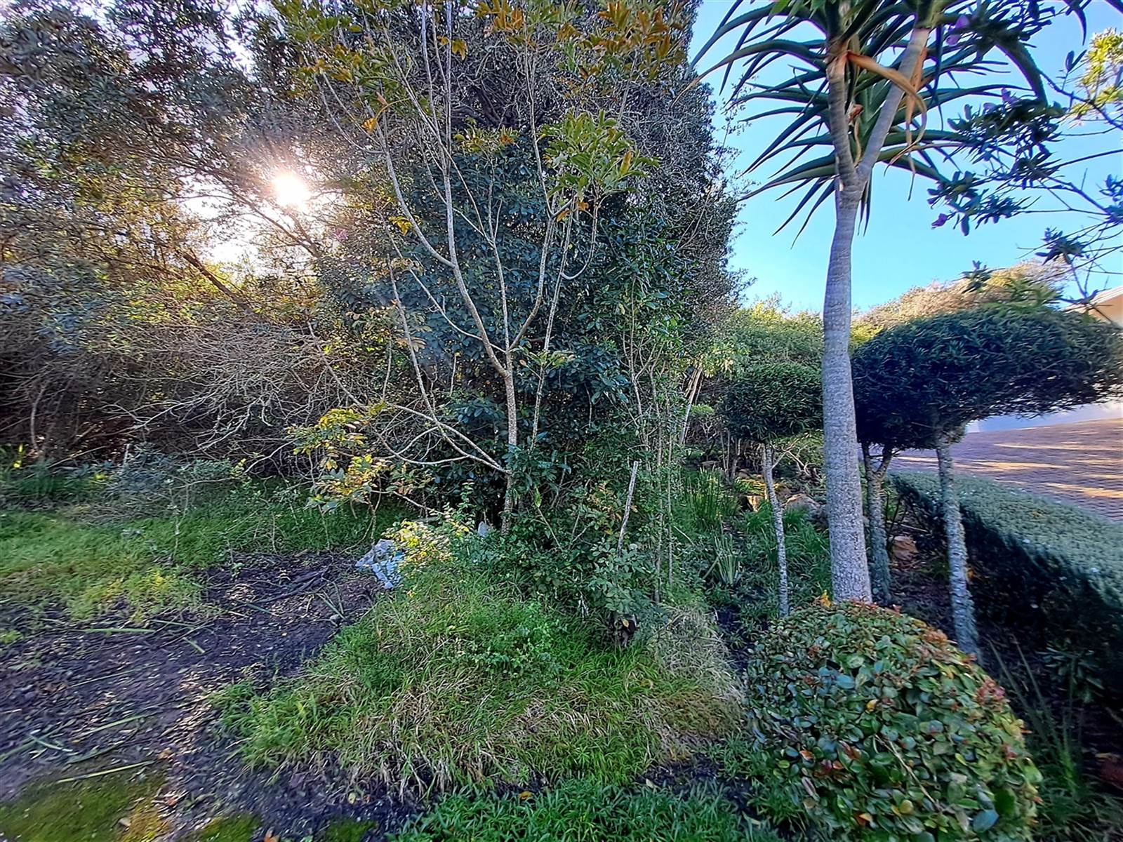 1979 m² Land available in Plettenberg Bay photo number 1