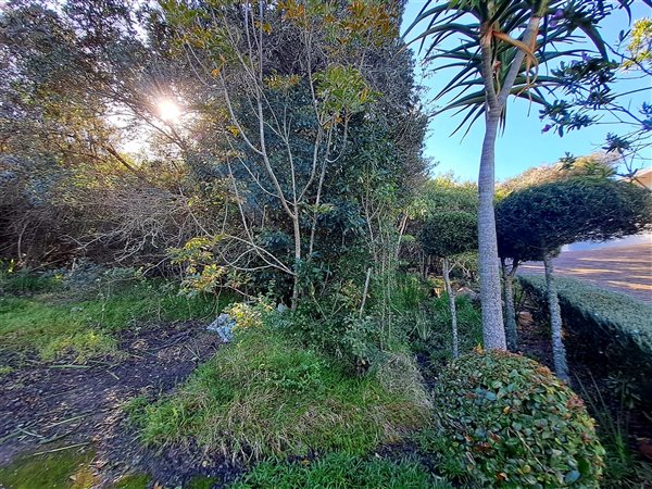 1979 m² Land available in Plettenberg Bay