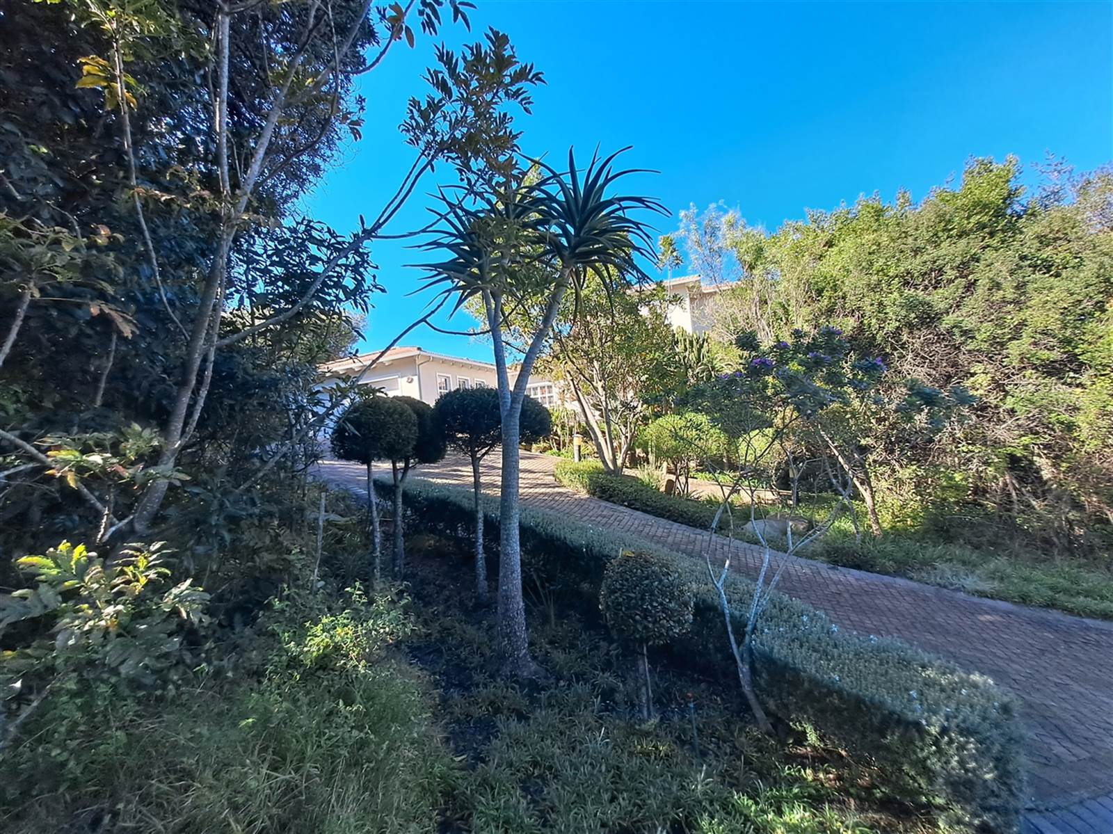 1979 m² Land available in Plettenberg Bay photo number 2