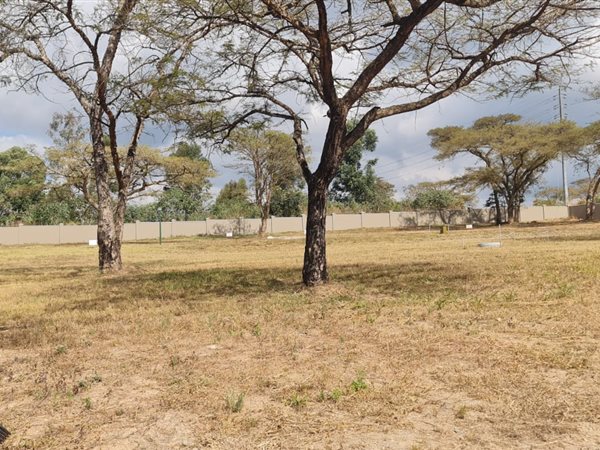 604 m² Land available in Arbor Park
