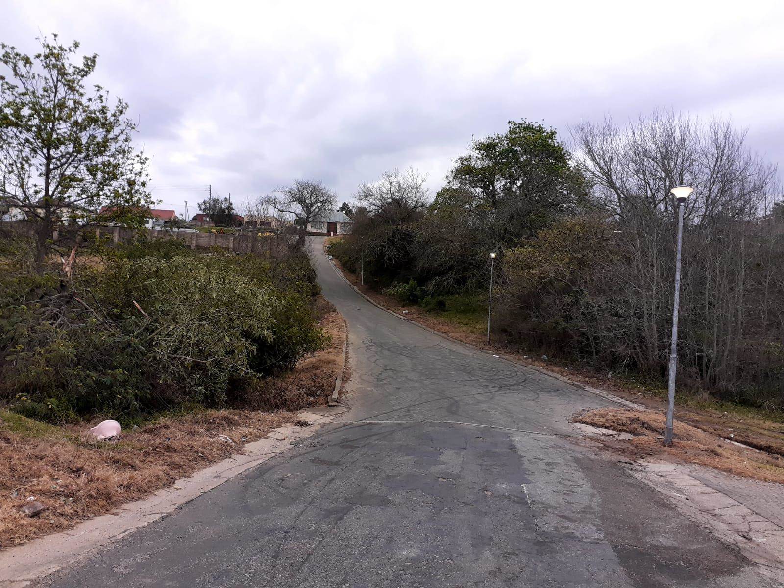 4108 m² Land available in Pacaltsdorp photo number 5
